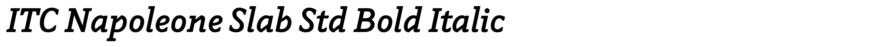 ITC Napoleone Slab Std Bold Italic